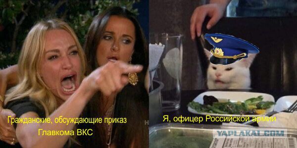 Главком ВКС дал указание убрать цветы и картины из кабинетов командиров