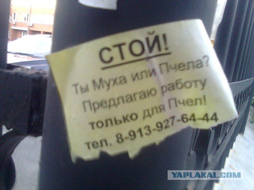 Объявления