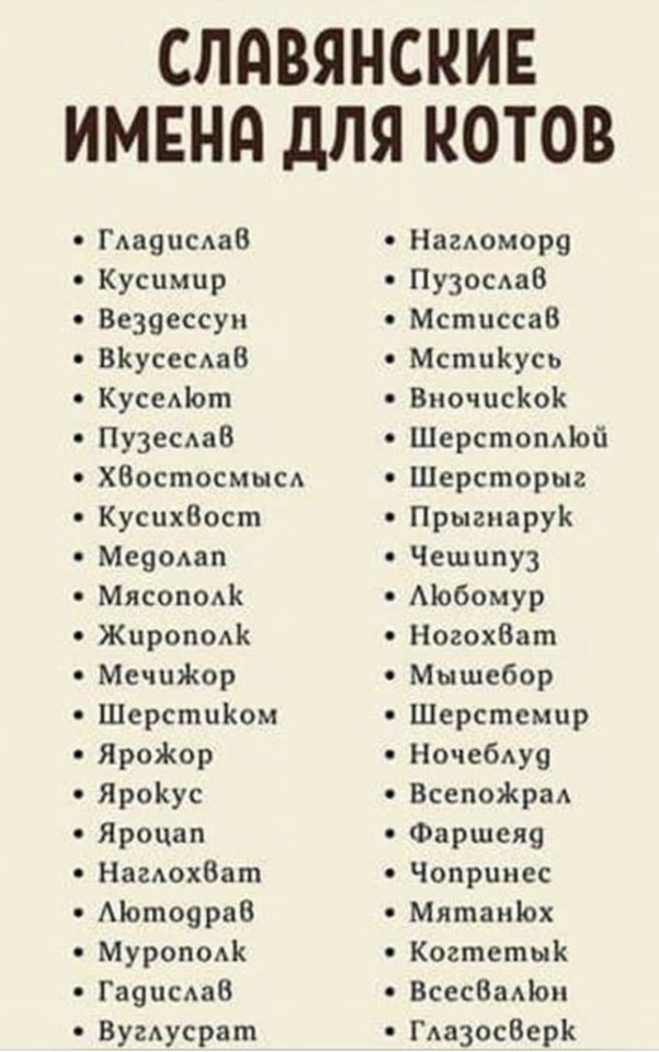 Бредзона 05.02.2020