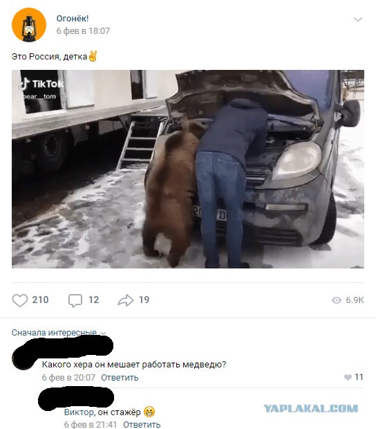 Чуток картинок 20.02.20.
