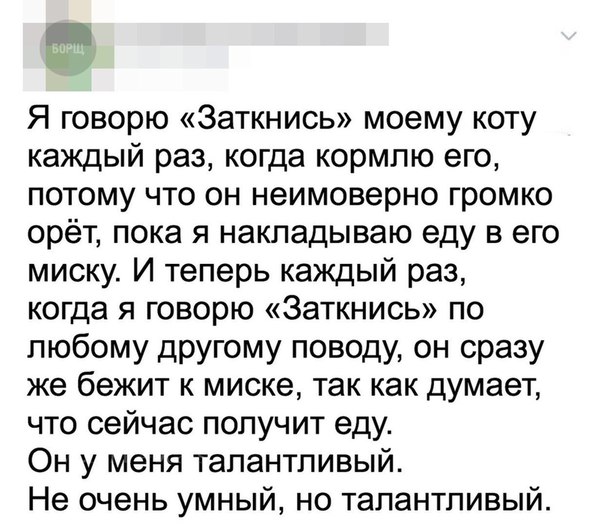 Немного картинок для настроения 21.02.20