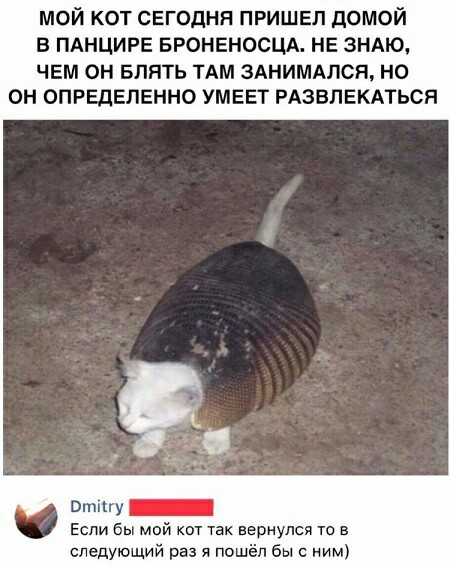 Несколько картинок, разных