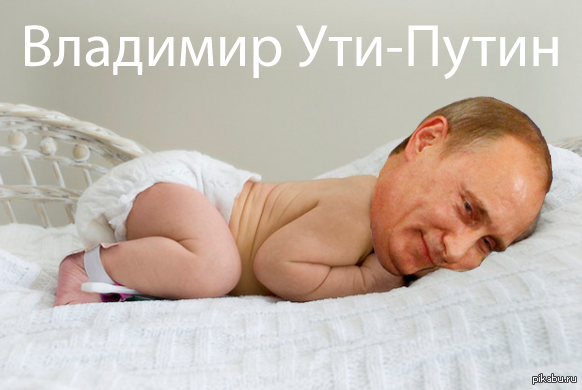 Голодных зверей кормить надо! Не смотря на всякие ограничения