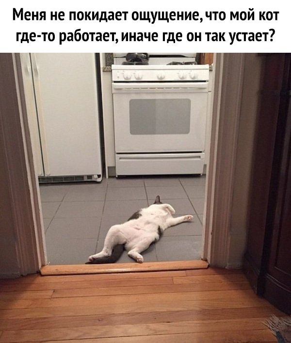 Немного картинок для настроения 119