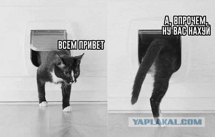 Что получает мужчина в официальном браке?