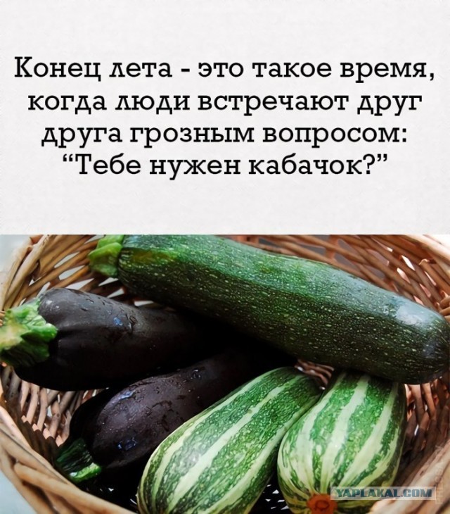 Немного картинок для настроения 26.08.20