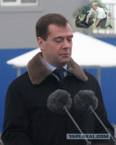 Фотожаба: Кто мои бубончики оторвал?!