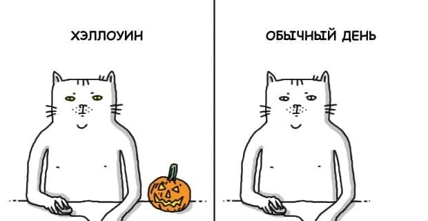 Немного картинок для настроения 02.11.20