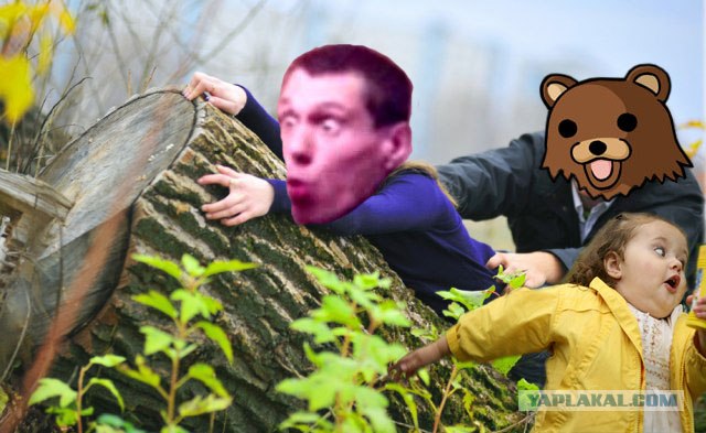 Жабим!