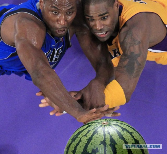 Ну очень жабельная фотография!