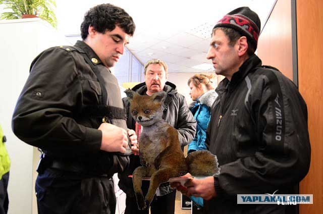 Фотожаба: Приставы и страховщики.