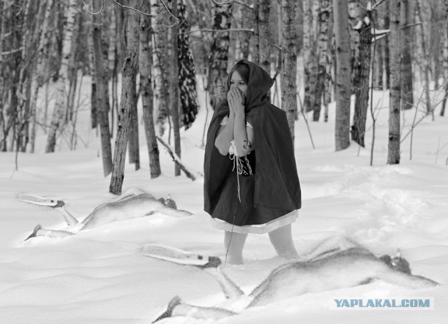 Фотожаба: "Заплутала"