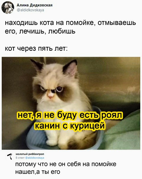 Картинки с надписями и всякие жизненные фразы 25.01.21