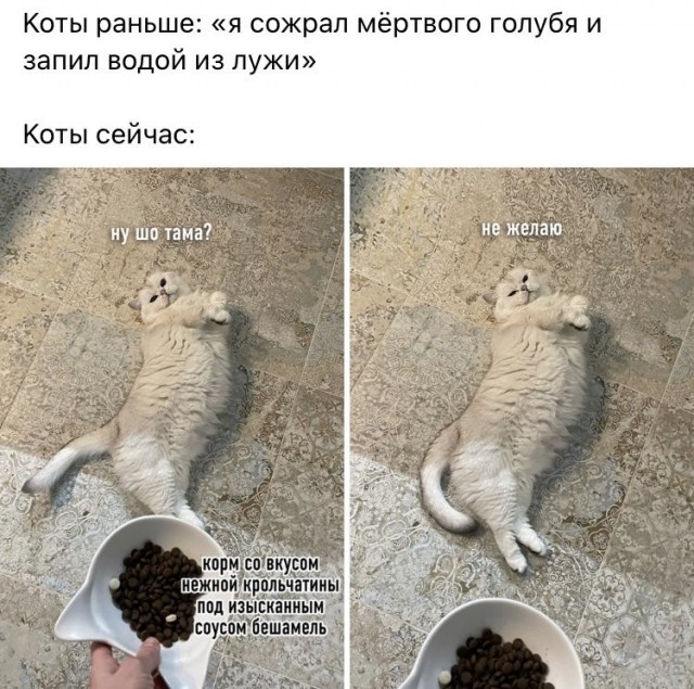 Картинки и мемы для настроения 024