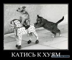 Цена денег