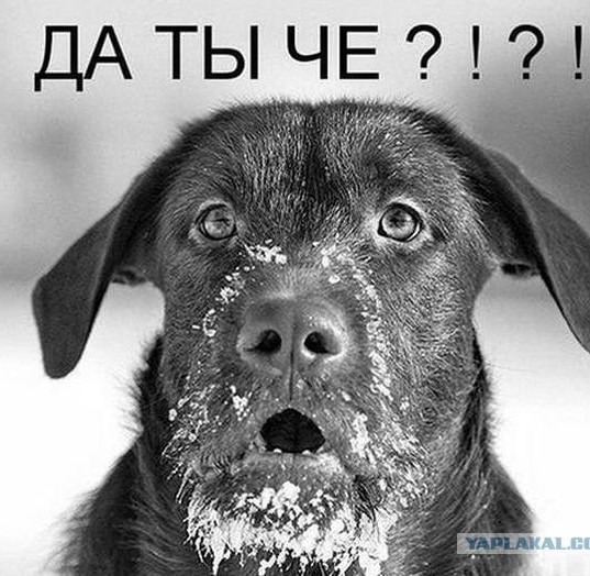 Ученые впервые спустились в «адский колодец» в Йемене
