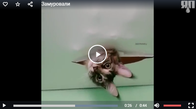 Замуровали, демоны!