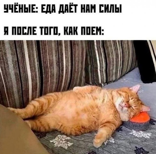 Картинки и мемы для настроения 22.11.2021