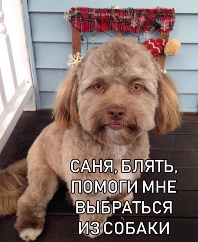 Подеградируем, побаяним...