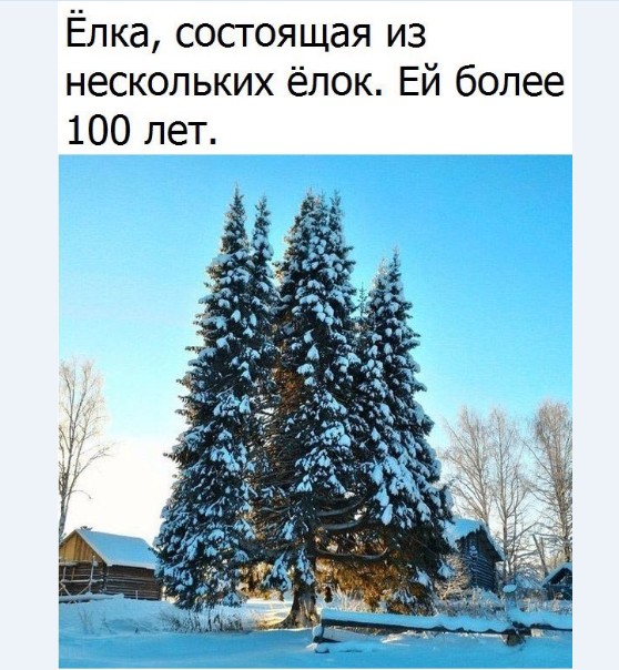 Картинки и мемы для настроения