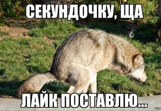 Парам-пам-пам-пиу-пиу