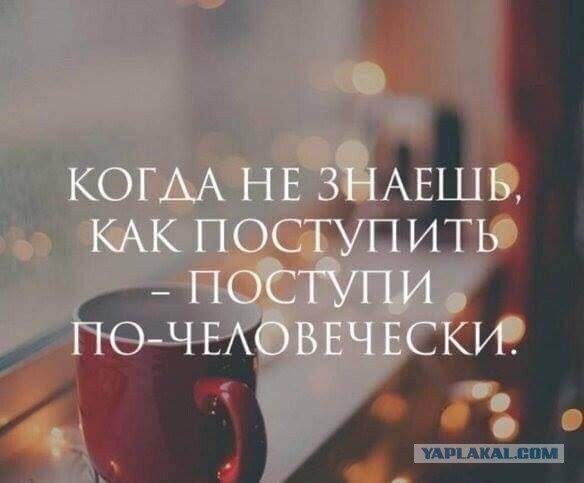 Так себе картинки 07.02.22
