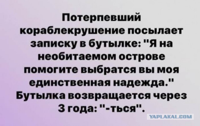 Японские компании Toyota и Lexus возвращаются на российский рынок