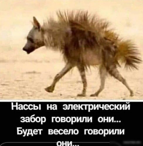 Да что же это такое-то, А?
