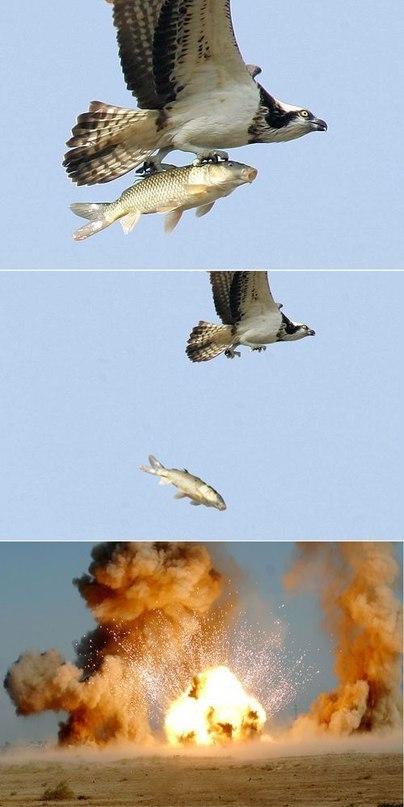 Пятничная чернуха!