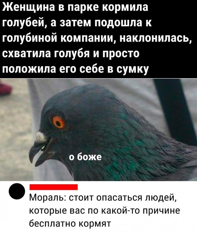 Так себе картинки 02.04.22