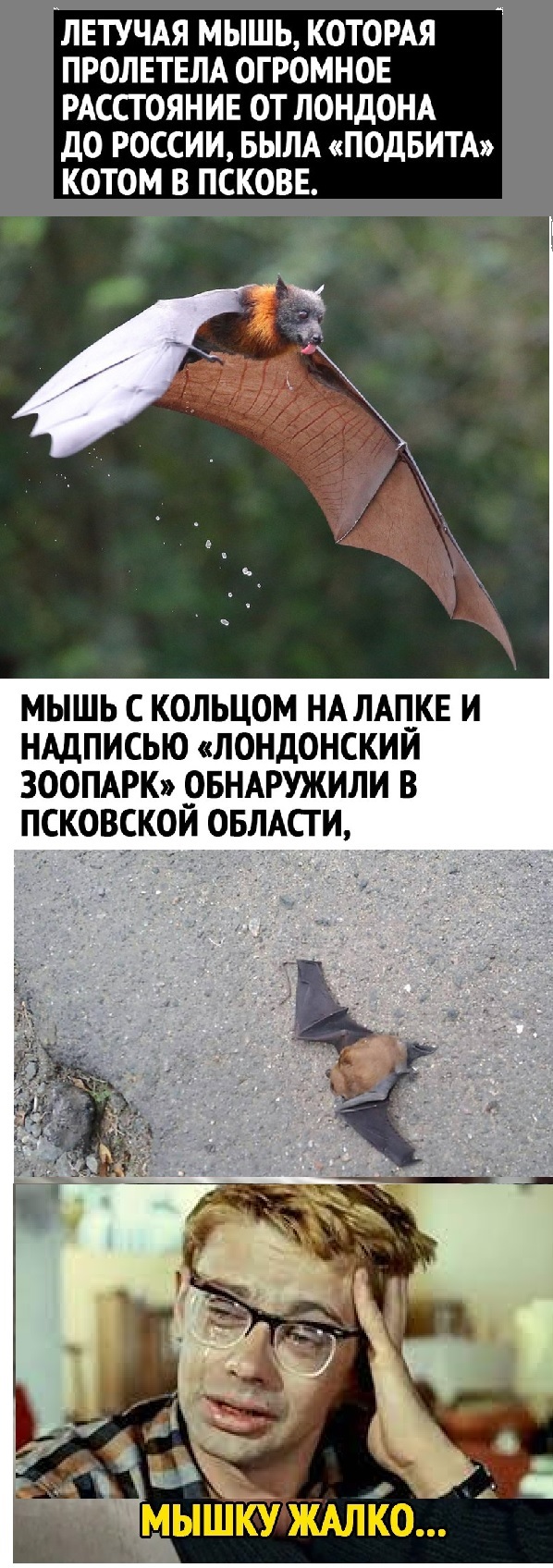 Картинки с надписями и всякие жизненные фразы