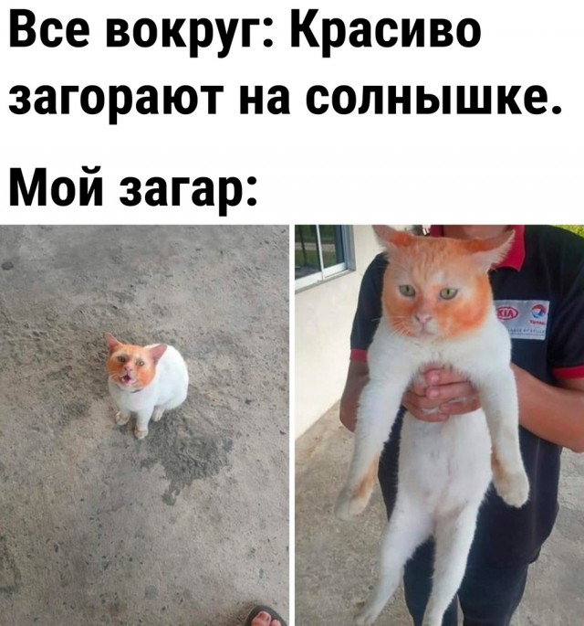 Картинки и мемы для настроения - 27
