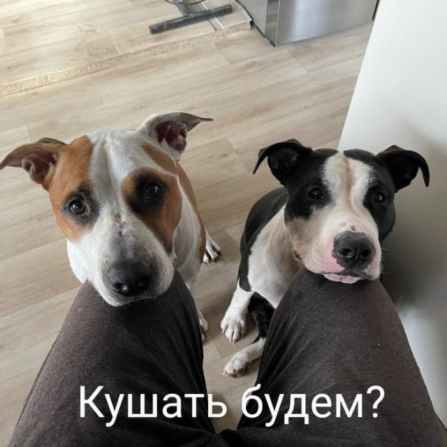 Картинки и мемы для настроения - 03