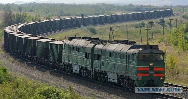 В Волгограде появился первый класс, где по-русски говорит только учитель