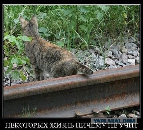 Н**уй технику безопасности