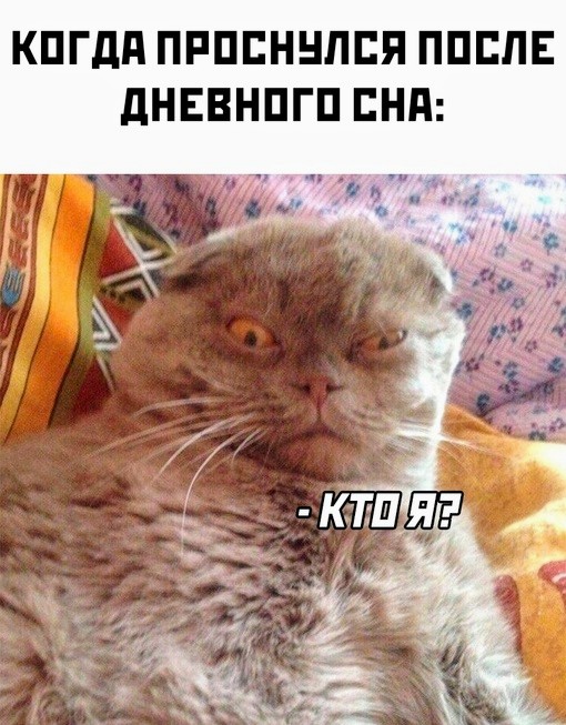 Немного картинок для настроения - 125