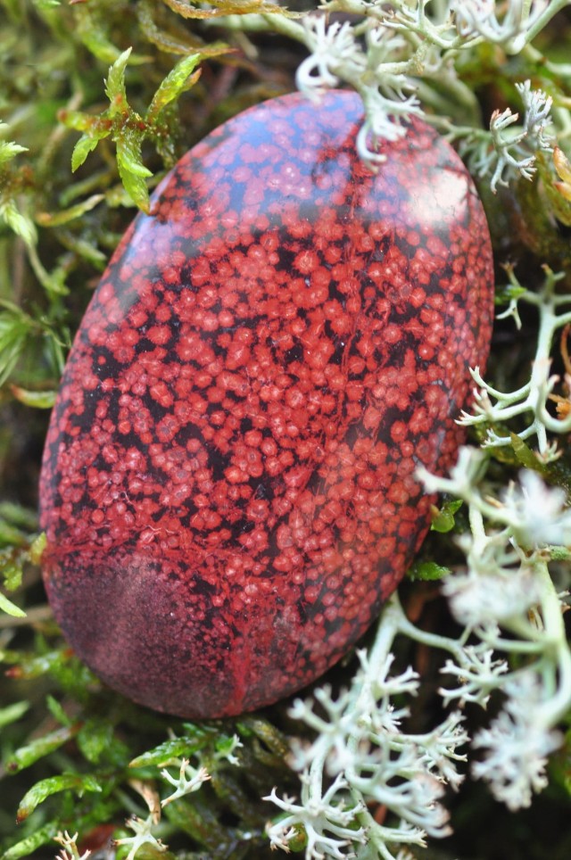 Камни, камушки, каменья