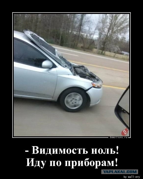 Закатал губу