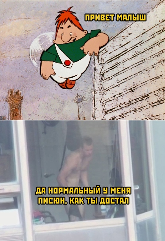 Весёлый полтишок 08.11.22