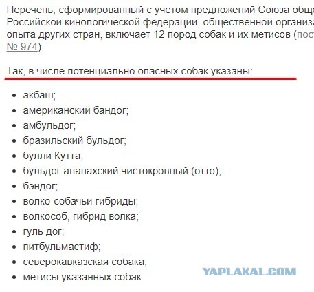 В РФ хотят ввести штраф за неправильный выгул опасных пород собак