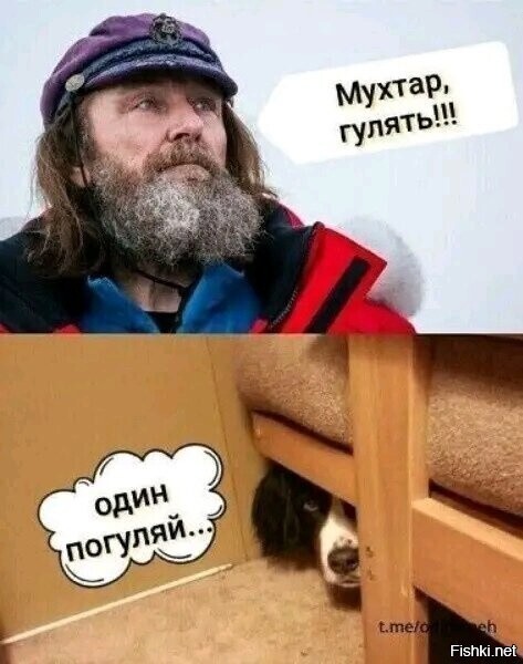 Забавные комментарии из социальных сетей (12.12.22)
