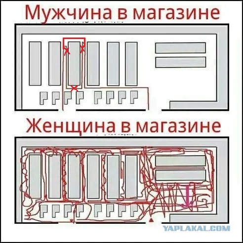 Очередная сборка картинок! Кому баян, кому гармонь, а кому в новинку!