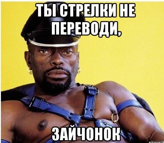 В Госдуме предложили отслеживать по камерам не убирающих за питомцами хозяев
