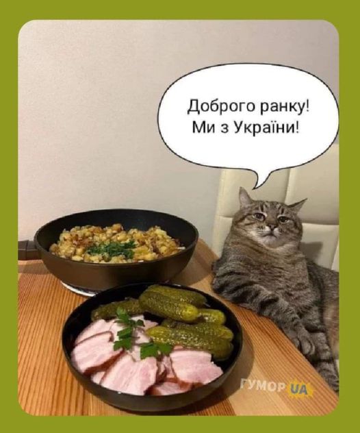 Победная поступь идиотизма по планете – том 12