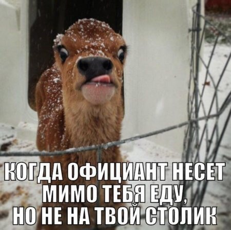 Тоже, что-ли баянов запостить...