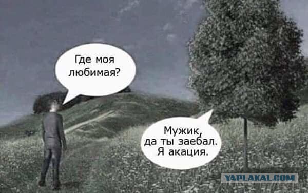 Баяны и аккордеоны. Смешные и не очень