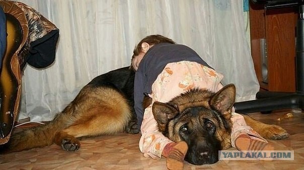 Няшность и ...