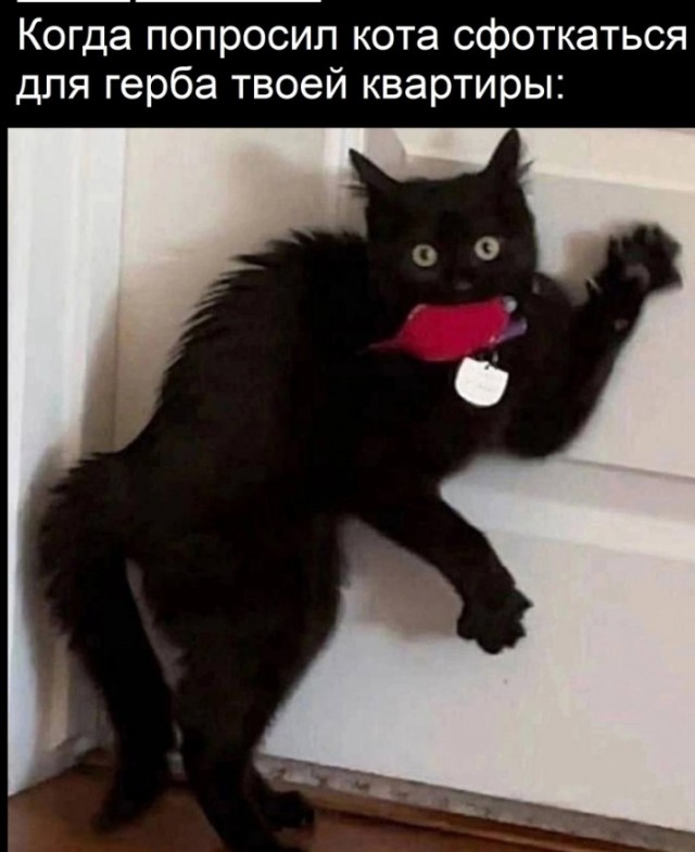 Всего понемногу. От 10.11.23
