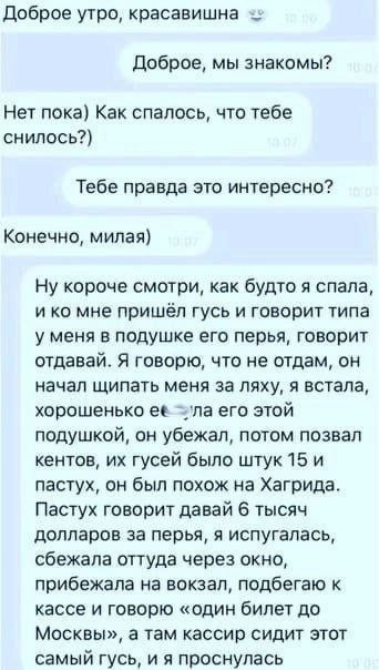Забавные картинки, шутки из этих ваших интернетов