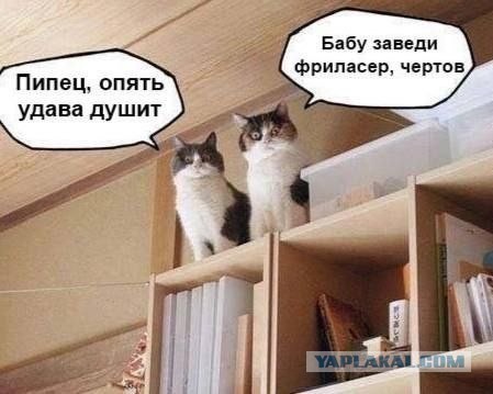 Немного картинок